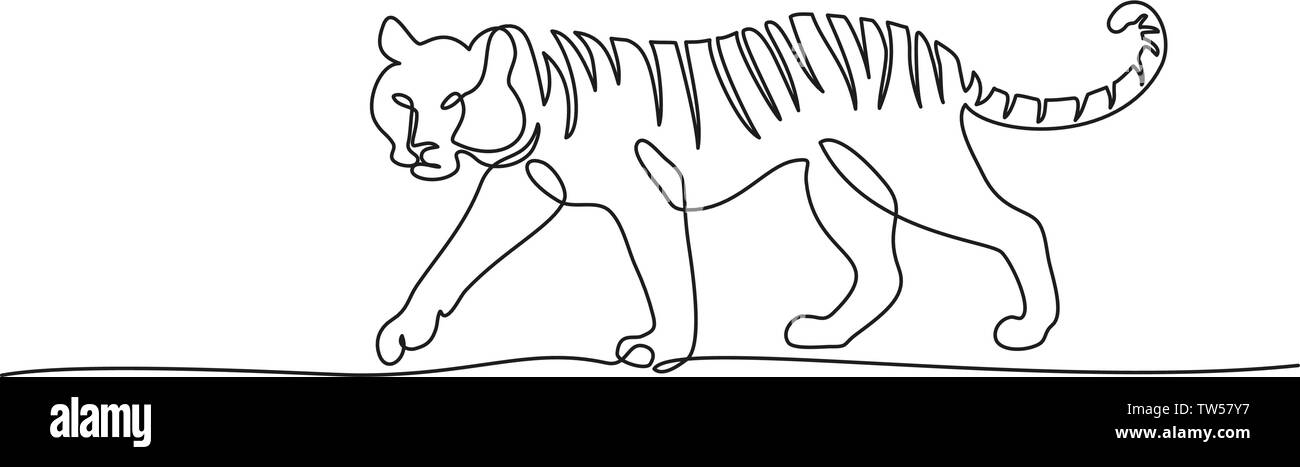Dessin d'une ligne continue. Tiger walking. Vector illustration Illustration de Vecteur