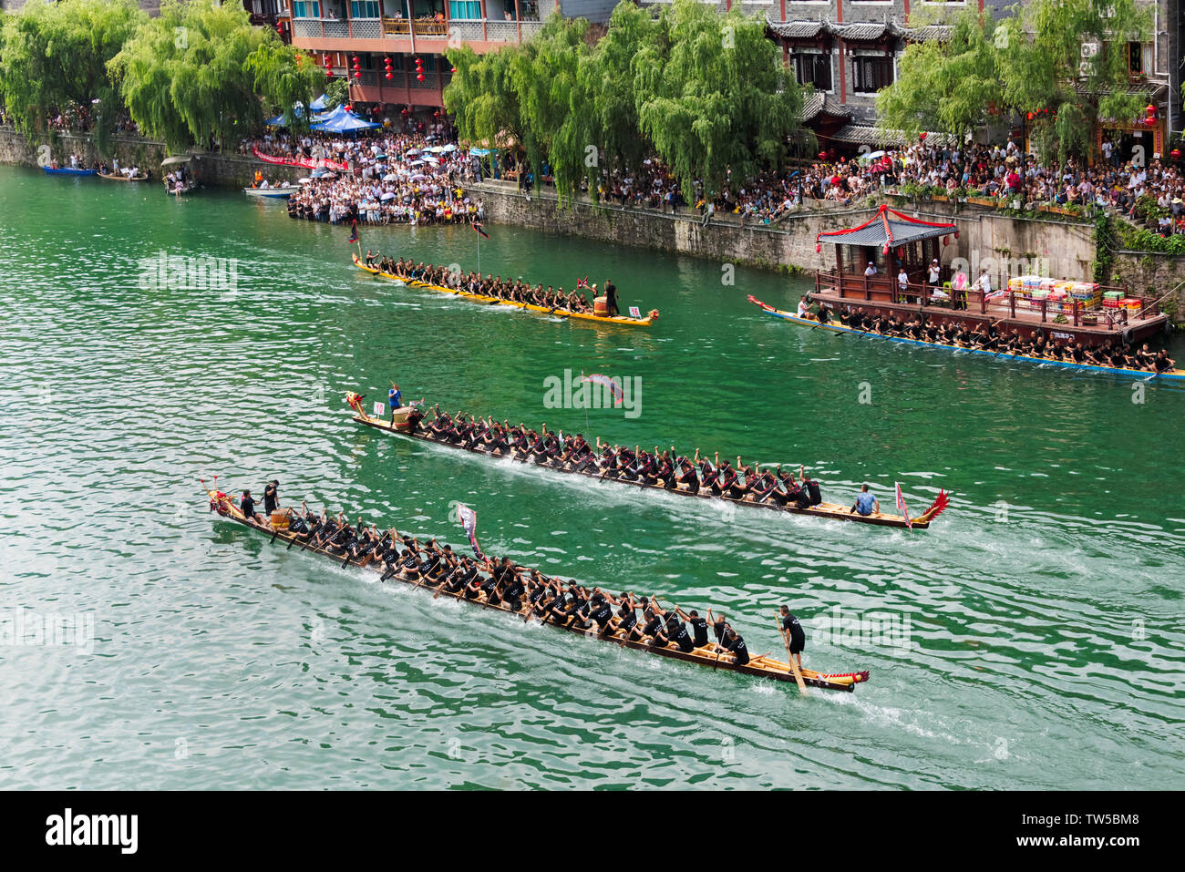 Course de bateaux-dragons sur la rivière Wuyang au cours de Duanwu Festival, Zhenyuan, province de Guizhou, Chine Banque D'Images