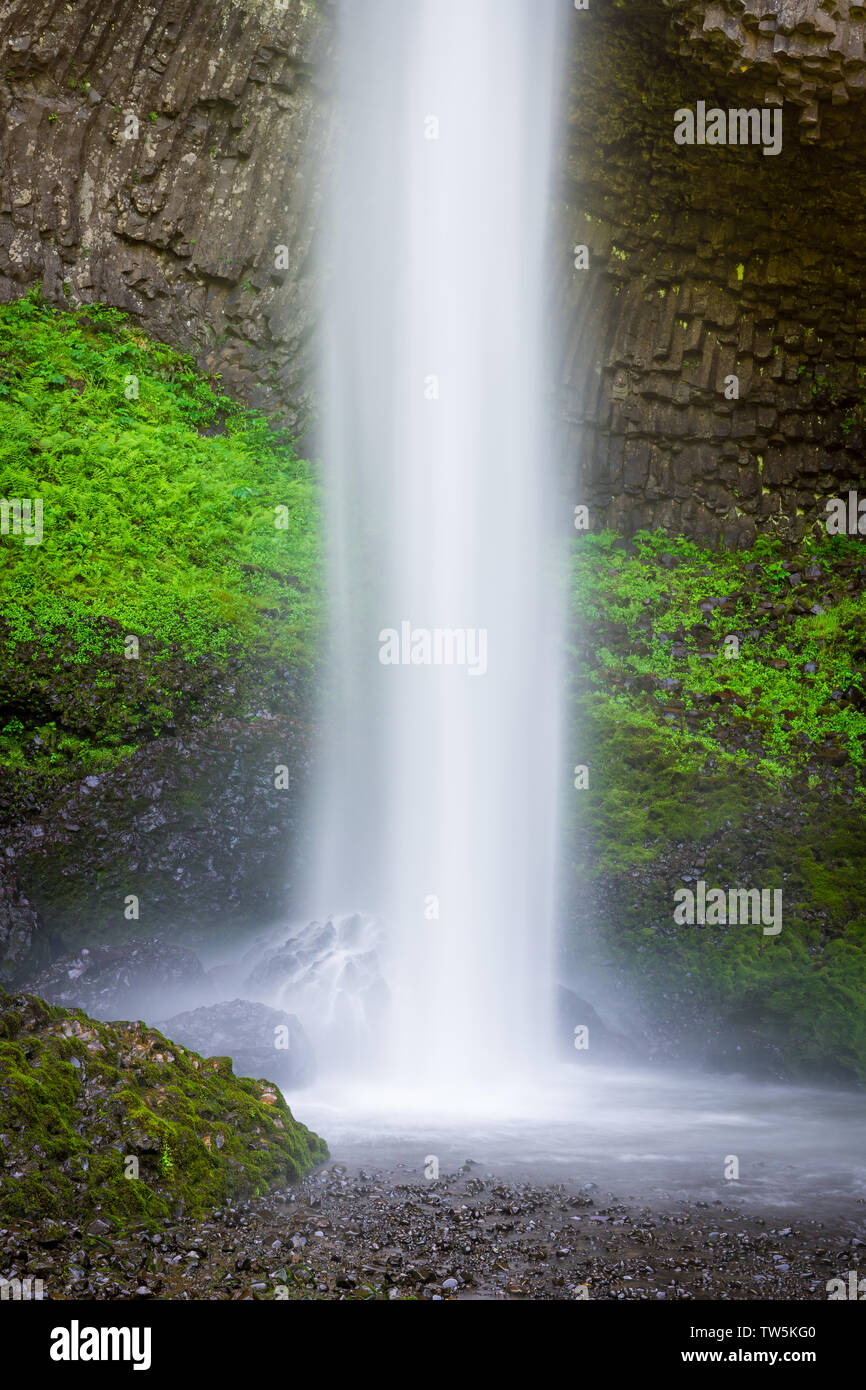 Une belle cascade les projections dans une piscine sous une falaise couverte de mousse verte et luxuriante végétation - Latourell Falls dans l'Oregon's Columbia River Gorge Banque D'Images