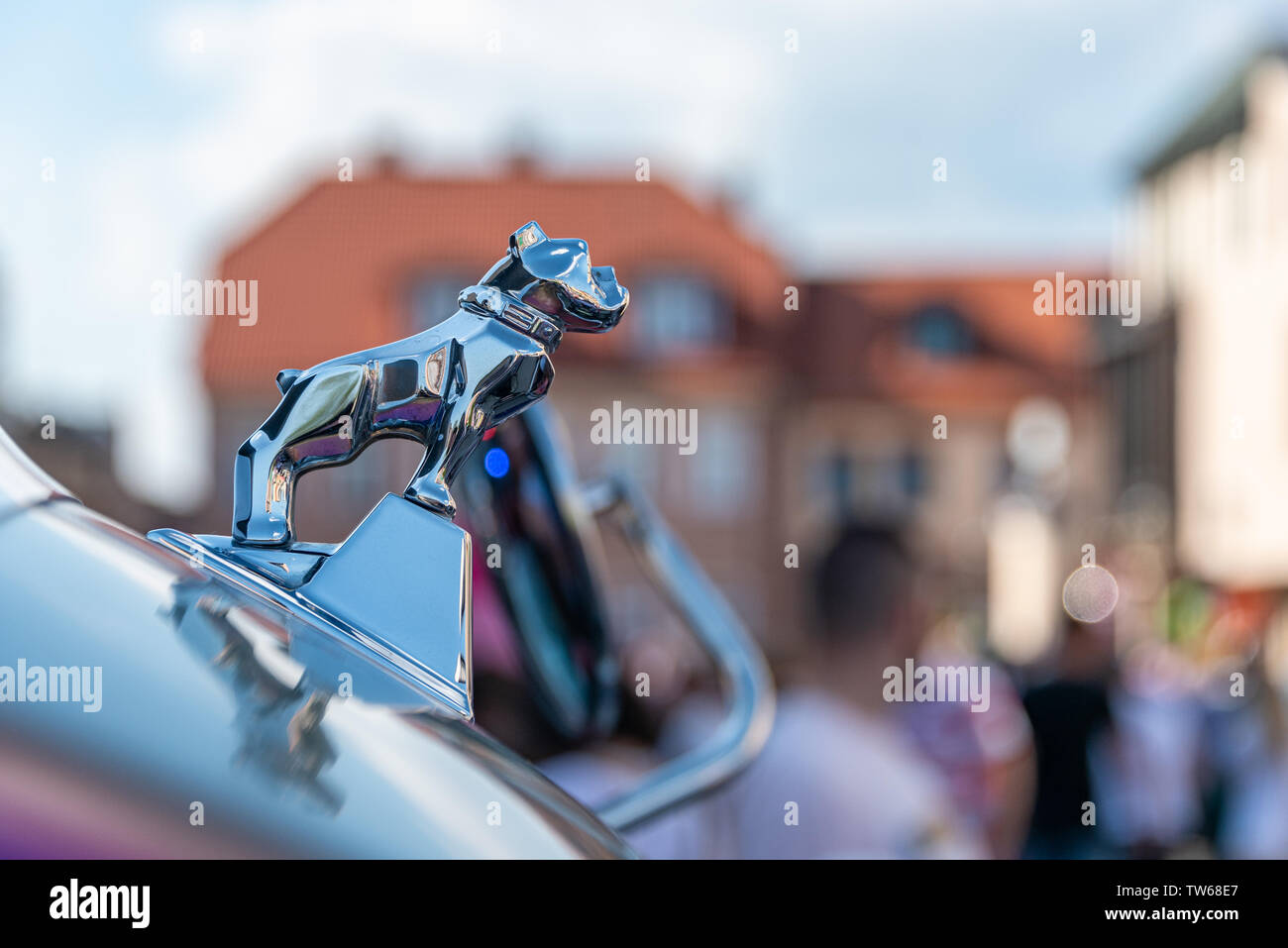 Bulldog Mack Trucks authentique originale hotte ornement chromé poli. Bulldog anglais. Banque D'Images