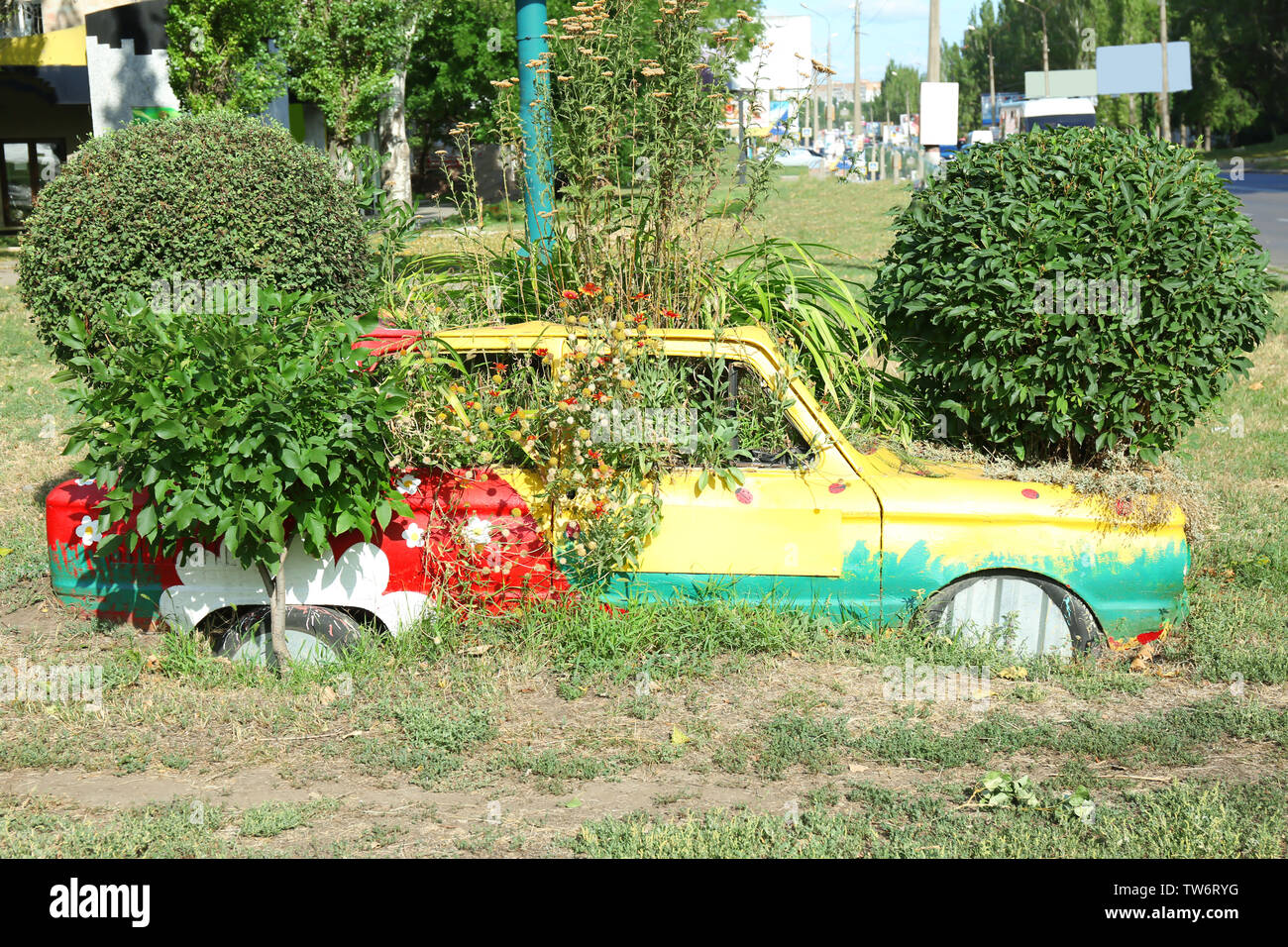 Parterre de plantes fabriqués à partir de vieille voiture à l'extérieur Banque D'Images