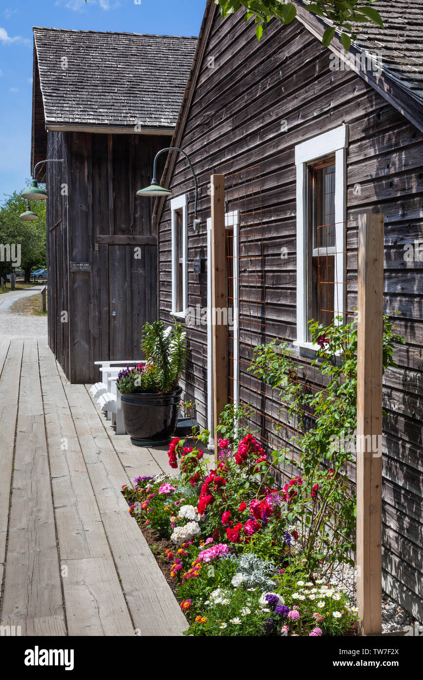 Jardin fraîchement planté en face de la frontière Murakami House au Britannia Steveston Ship Yard British Columbia Banque D'Images