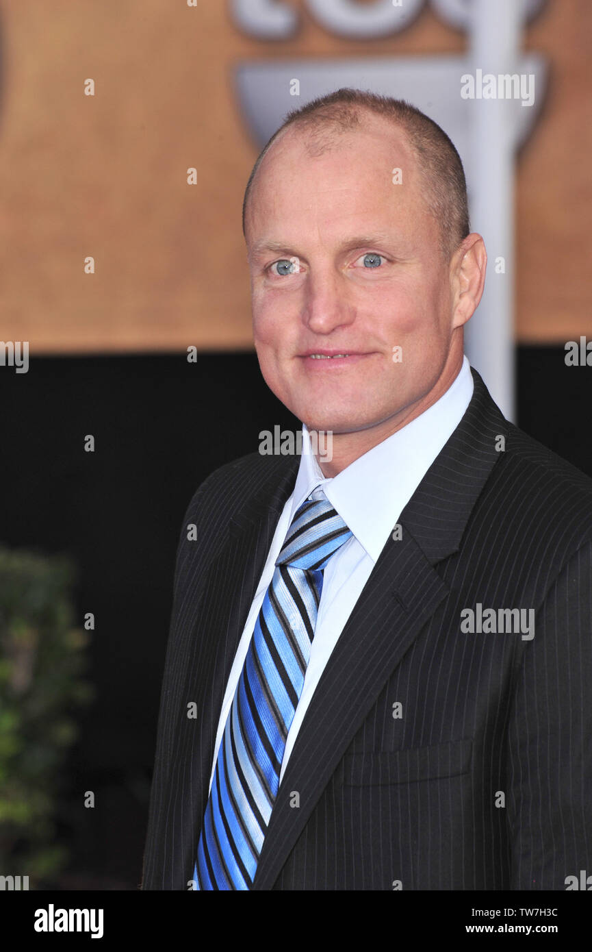 LOS ANGELES, CA. 27 janvier 2008 : Woody Harrelson lors de la 14e Conférence annuelle des Screen Actors Guild Awards au Shrine Auditorium, Los Angeles, CA. © 2008 Paul Smith / Featureflash Banque D'Images