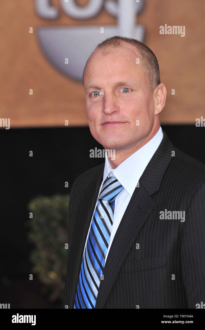 LOS ANGELES, CA. 27 janvier 2008 : Woody Harrelson lors de la 14e Conférence annuelle des Screen Actors Guild Awards au Shrine Auditorium, Los Angeles, CA. © 2008 Paul Smith / Featureflash Banque D'Images