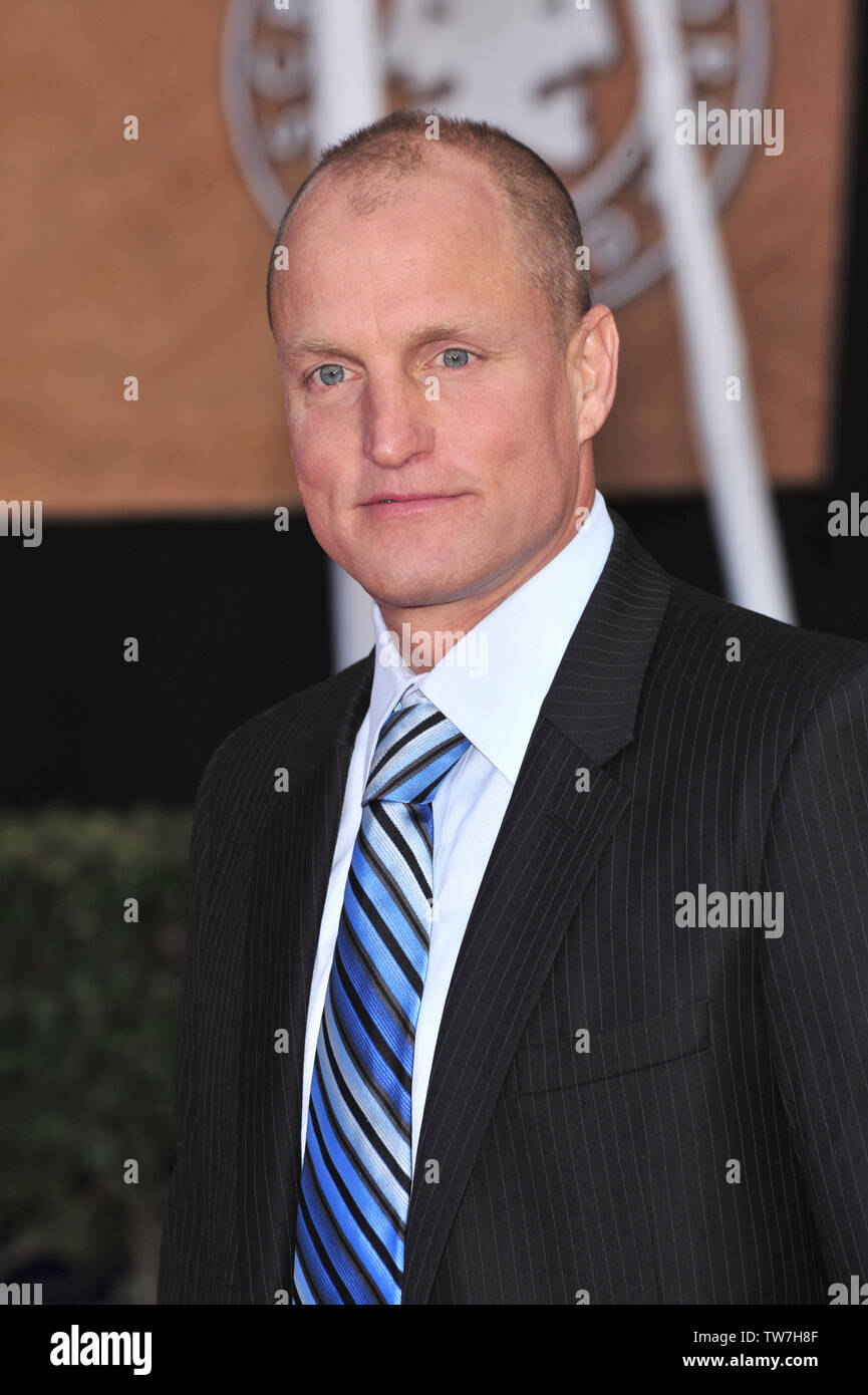 LOS ANGELES, CA. 27 janvier 2008 : Woody Harrelson lors de la 14e Conférence annuelle des Screen Actors Guild Awards au Shrine Auditorium, Los Angeles, CA. © 2008 Paul Smith / Featureflash Banque D'Images