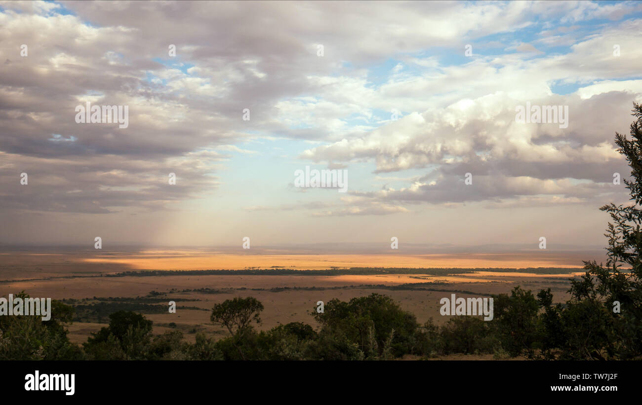 Savane et de nuages à masai Mara, Kenya Banque D'Images