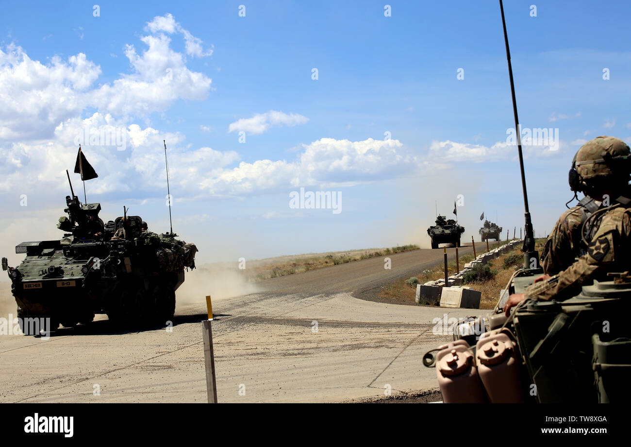 Strykers de 3e bataillon du 161e Régiment d'infanterie, font leur chemin vers le bas la gamme road à Yakima Training Centre au cours de l'exercice de tir réel de peloton. L'infanterie 3-161 participent à l'accent à baïonnette, comme pilote jusqu'à une rotation de la CNT l'année prochaine. Banque D'Images