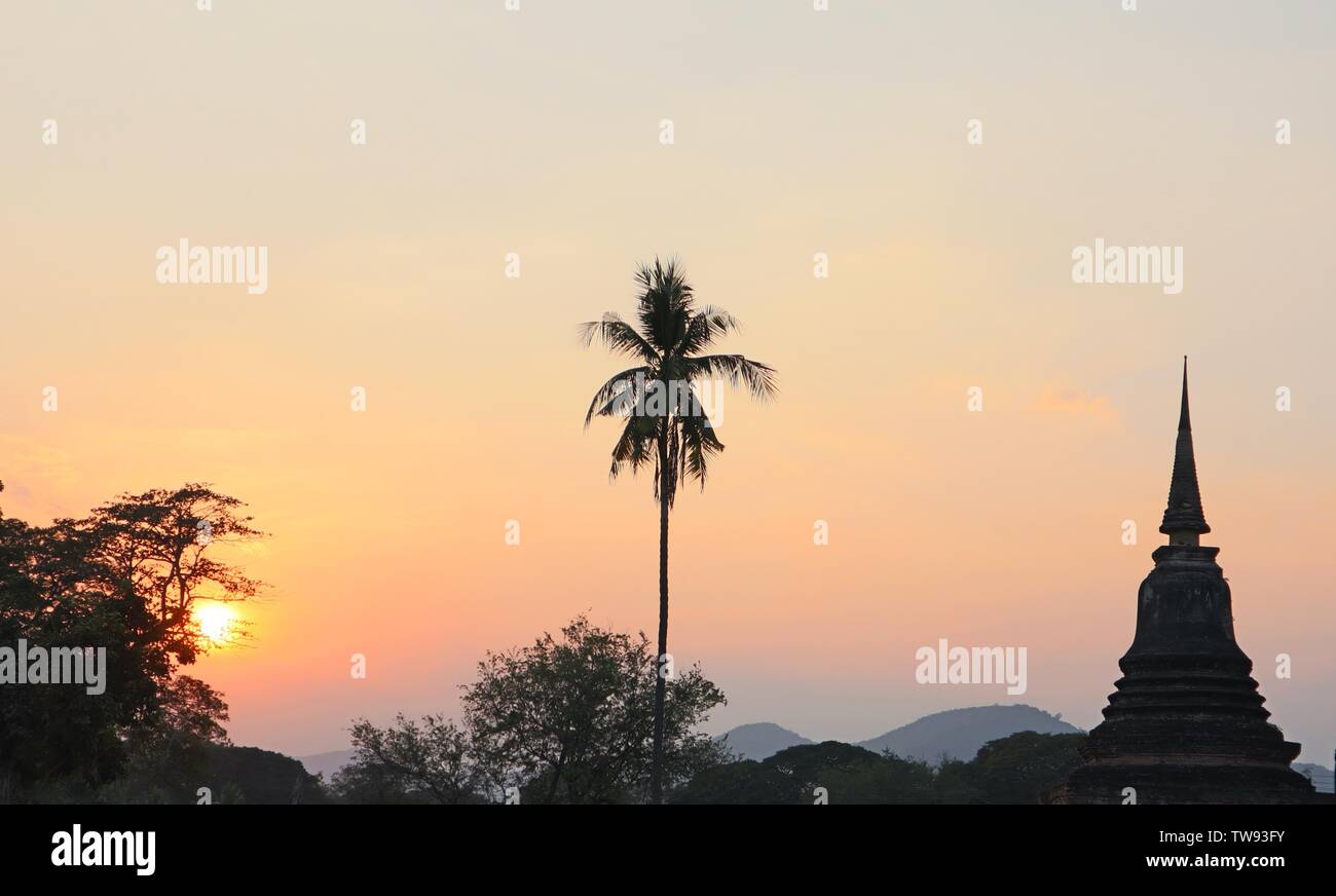 Soleil derrière silhouette de cocotier et pagoda en Thaïlande Banque D'Images