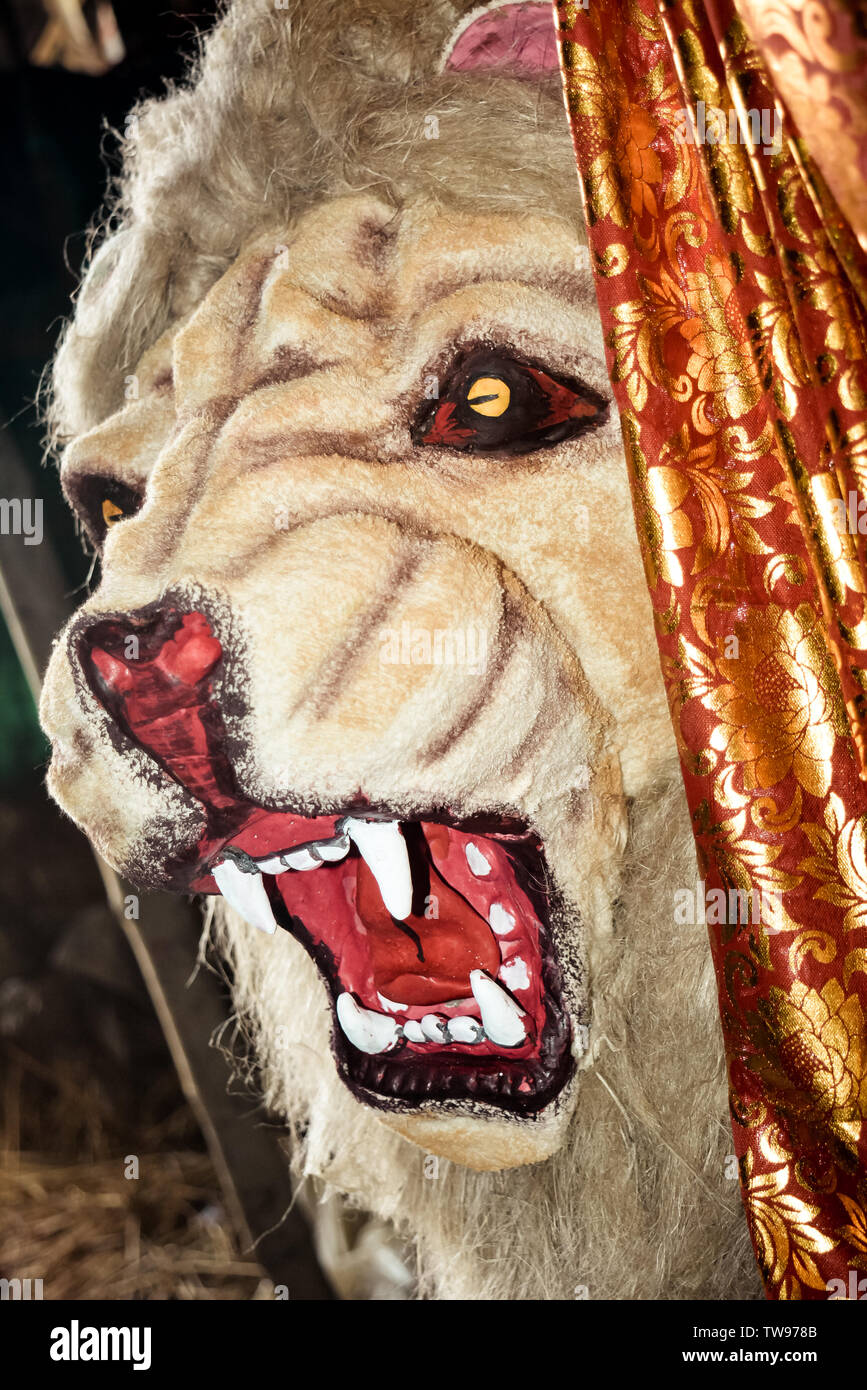 La face de lion, souvent désigné comme le roi de la jungle. Affiche avec un mignon, style dessin animé au cours de Durga puja art festival. Il semble être slightl Banque D'Images