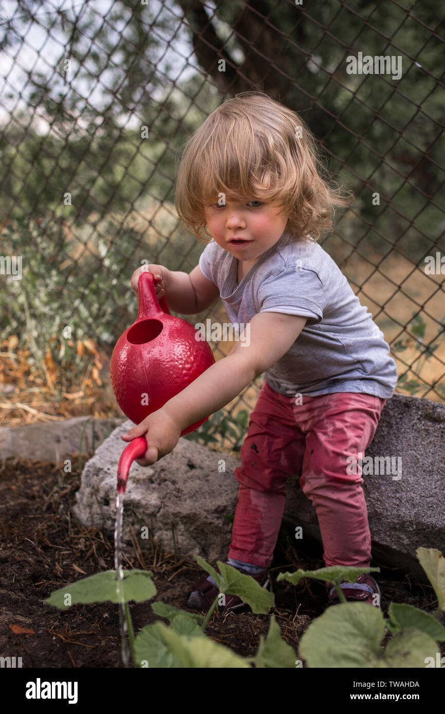 Petit jardinier, jolie fille, pour aider aux projections d'eau, le jardin, l'arrosage des plantes à l'arrosoir rouge Banque D'Images