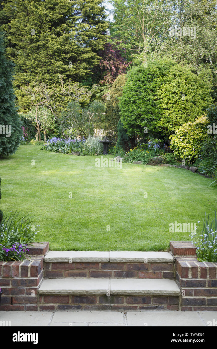 Retour en terrasse jardin avec pelouse, étapes et patio en Angleterre, Royaume-Uni Banque D'Images