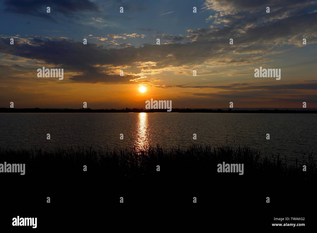 Le coucher du soleil, Darscho-Lacke, Parc national du lac de Neusiedl, Burgenland, Autriche Banque D'Images