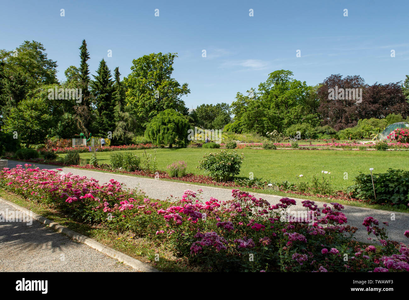 Jardins botaniques, Zagreb, Croatie Banque D'Images