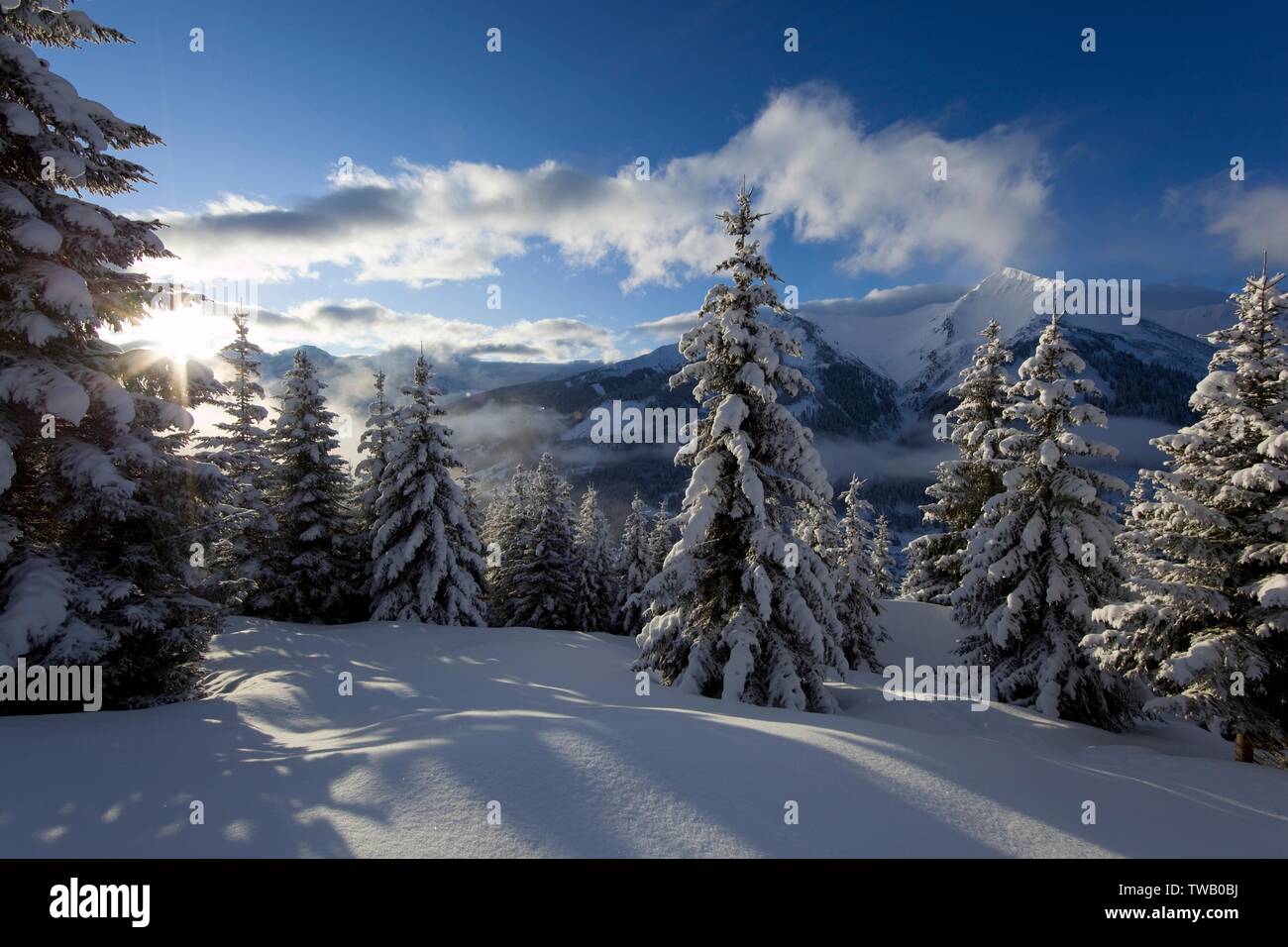 Autriche, Tyrol, Alpes d'Ammergau, tour en raquettes Pfuitjoechl (pic). Banque D'Images