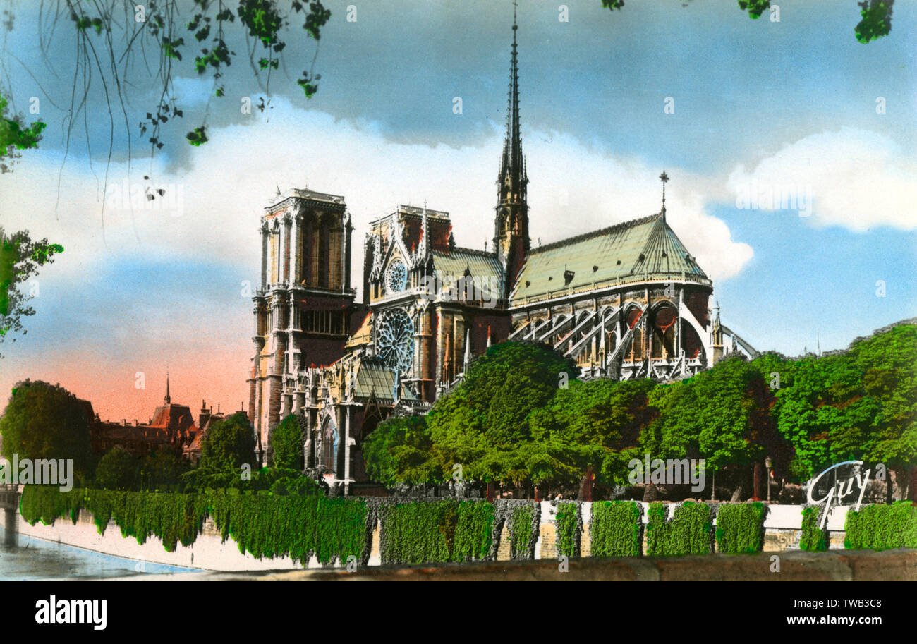 Paris, France - La Cathédrale Notre-Dame Banque D'Images