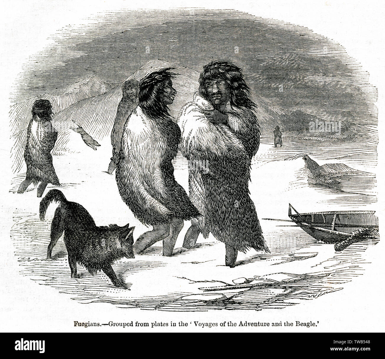 Peuple de Tierra del Fuego, Amérique du Sud 1842 Banque D'Images