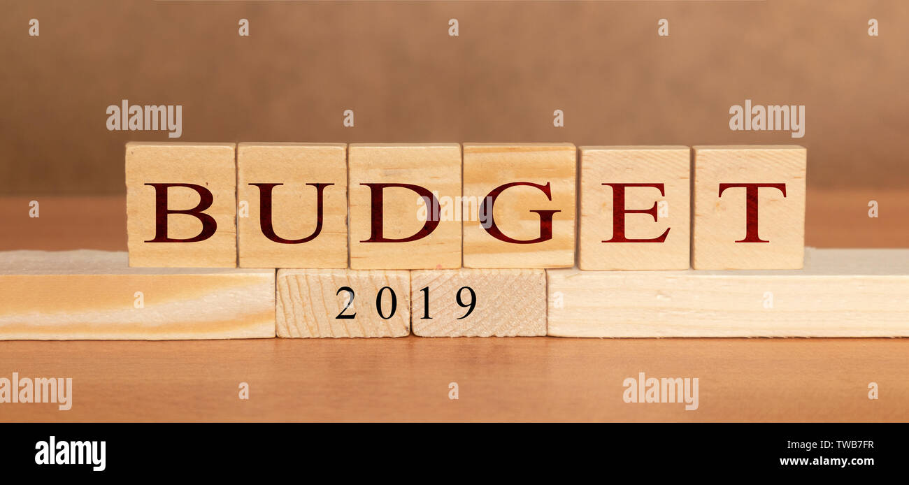 Le budget de 2019 imprimés sur des blocs de bois sur fond texturé en bois Banque D'Images