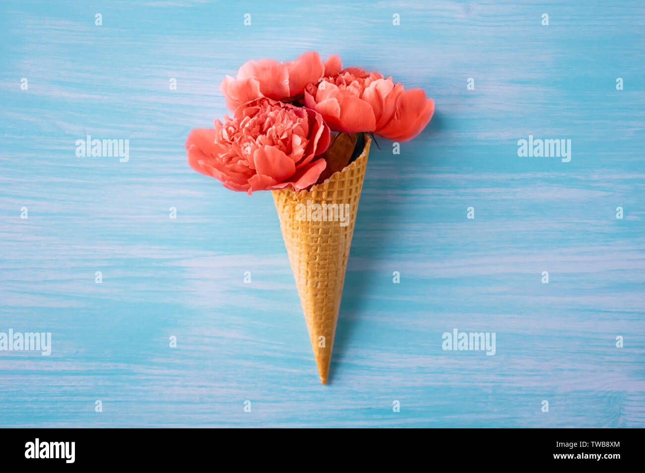 Les Pivoines couleur corail. Un bouquet de pivoines dans un cône de crème glacée. Color 2019. Un design créatif. le minimalisme. Banque D'Images