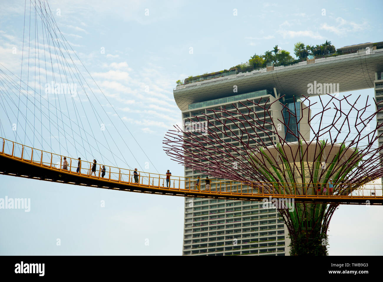 Dans le Skyway OCBC touristiques Supertree Grove au jardin par La Baie - Singapour Banque D'Images