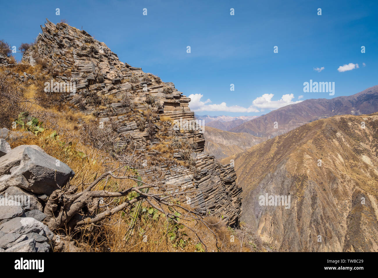 Canyon de Colca de Cabanaconde au Pérou. Le canyon le plus profond sur la terre. Banque D'Images