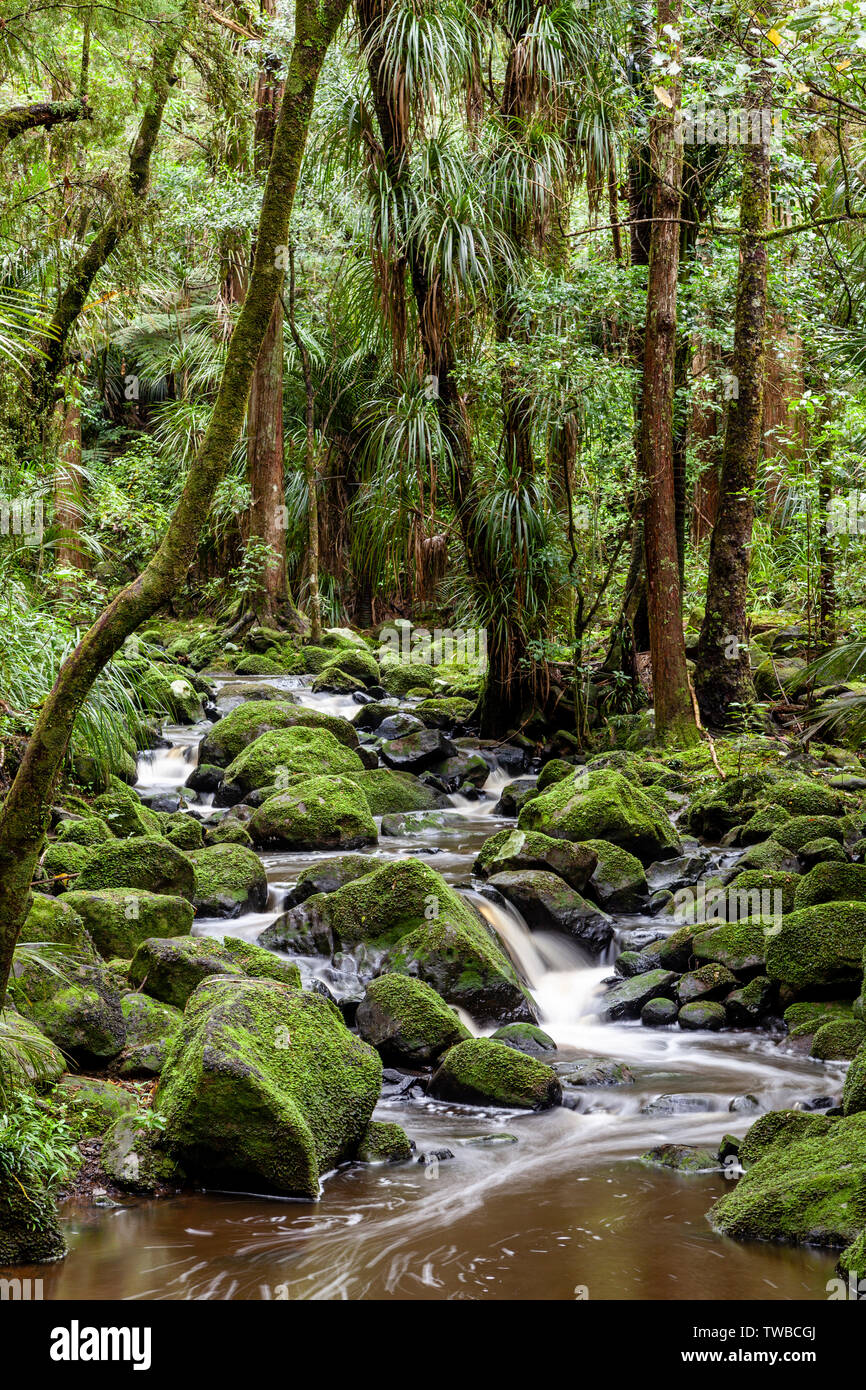 AH Reed Memorial Park, Whangarei, île du Nord, Nouvelle-Zélande Banque D'Images