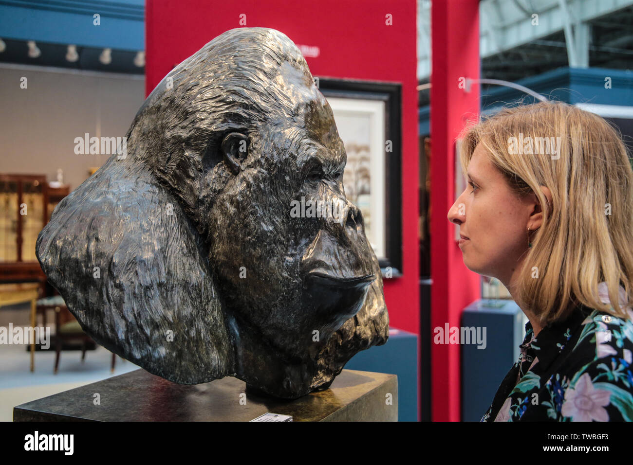 Londres, Royaume-Uni. 19 Juin, 2019. Célébrant sa 47e année en 2019, le salon Art & Antiques Fair Olympia est reconnu comme l'un des plus prestigieux et établi au Royaume-Uni, foires et une destination annuelle de plus de 30 000 voyageurs et visiteurs sophistiqués.Doté d''un mélange éclectique de pièces tirées de l'antiquité à nos jours, et avec des prix allant de £100 à £1 millions, buste en bronze de NICO le safary Longleat park, faite après sa mort, l'âge de 56 ans par l'artiste Tobias Martin.Paul Quezada-Neiman/Alamy Live News Crédit : Paul/Quezada-Neiman Alamy Live News Banque D'Images