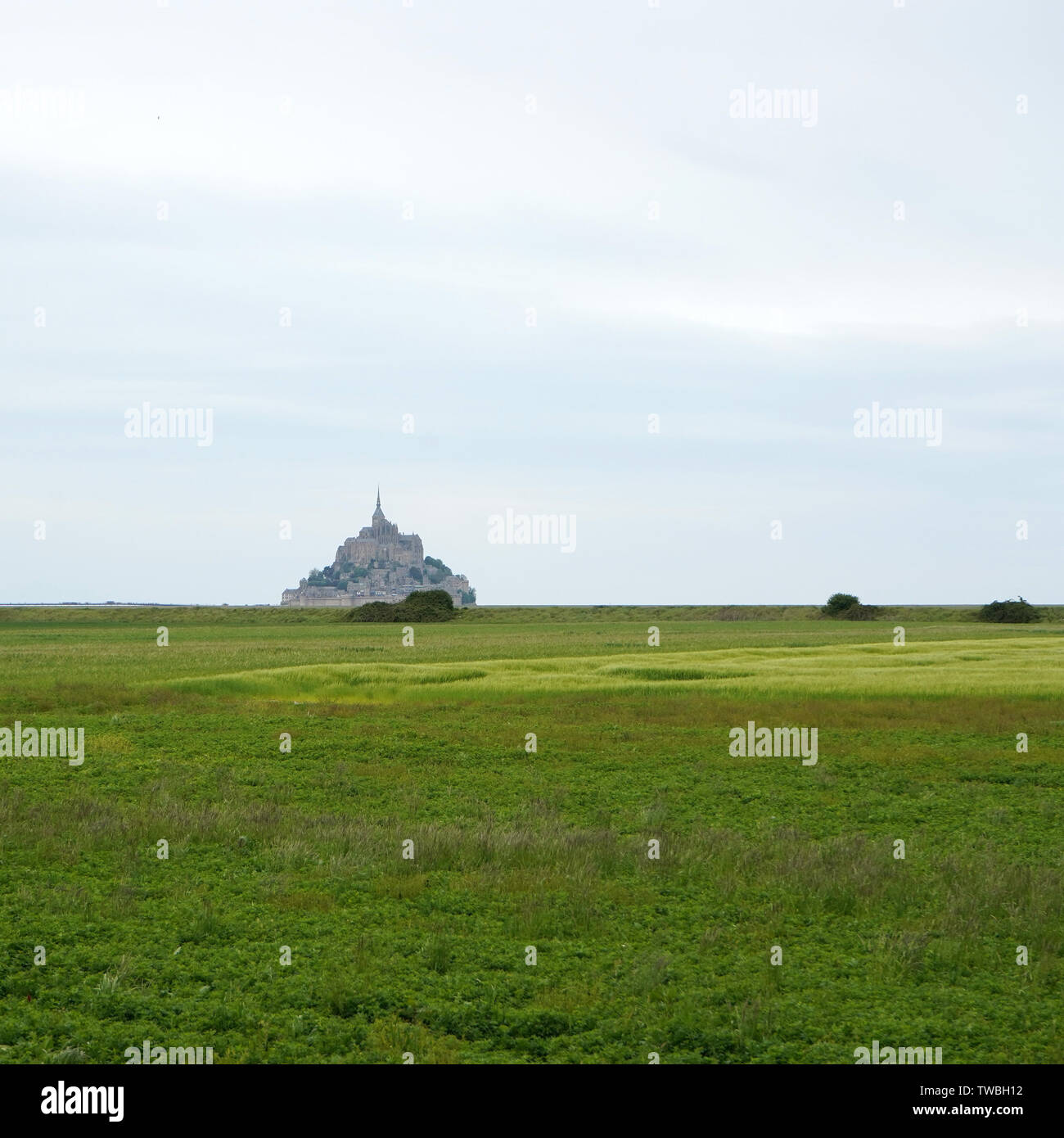 Low tide mont saint michel Banque de photographies et d’images à haute ...