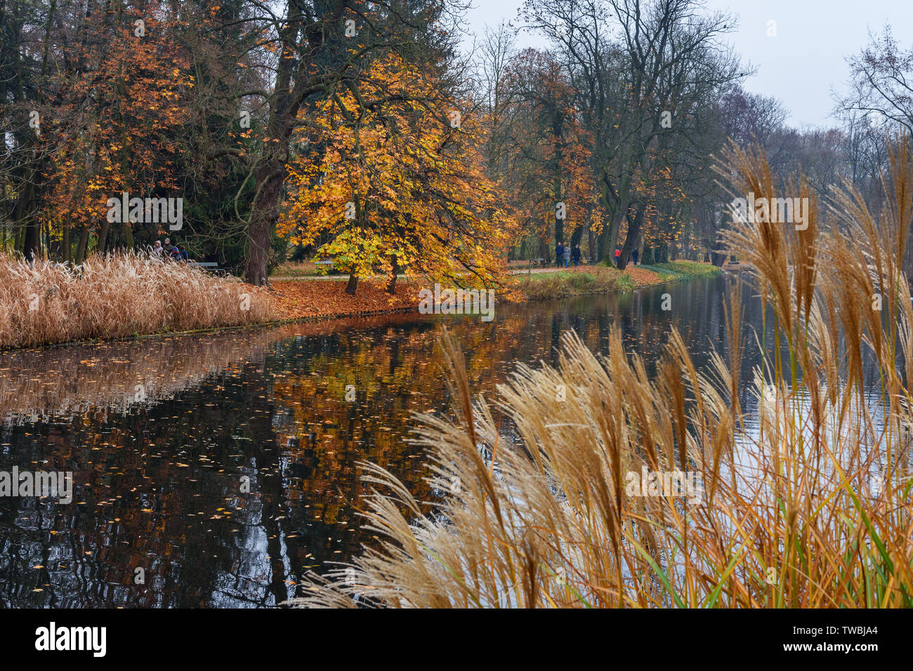 Parc Lazienki ou Parc des Thermes royaux à l'automne de Varsovie. Pologne Banque D'Images