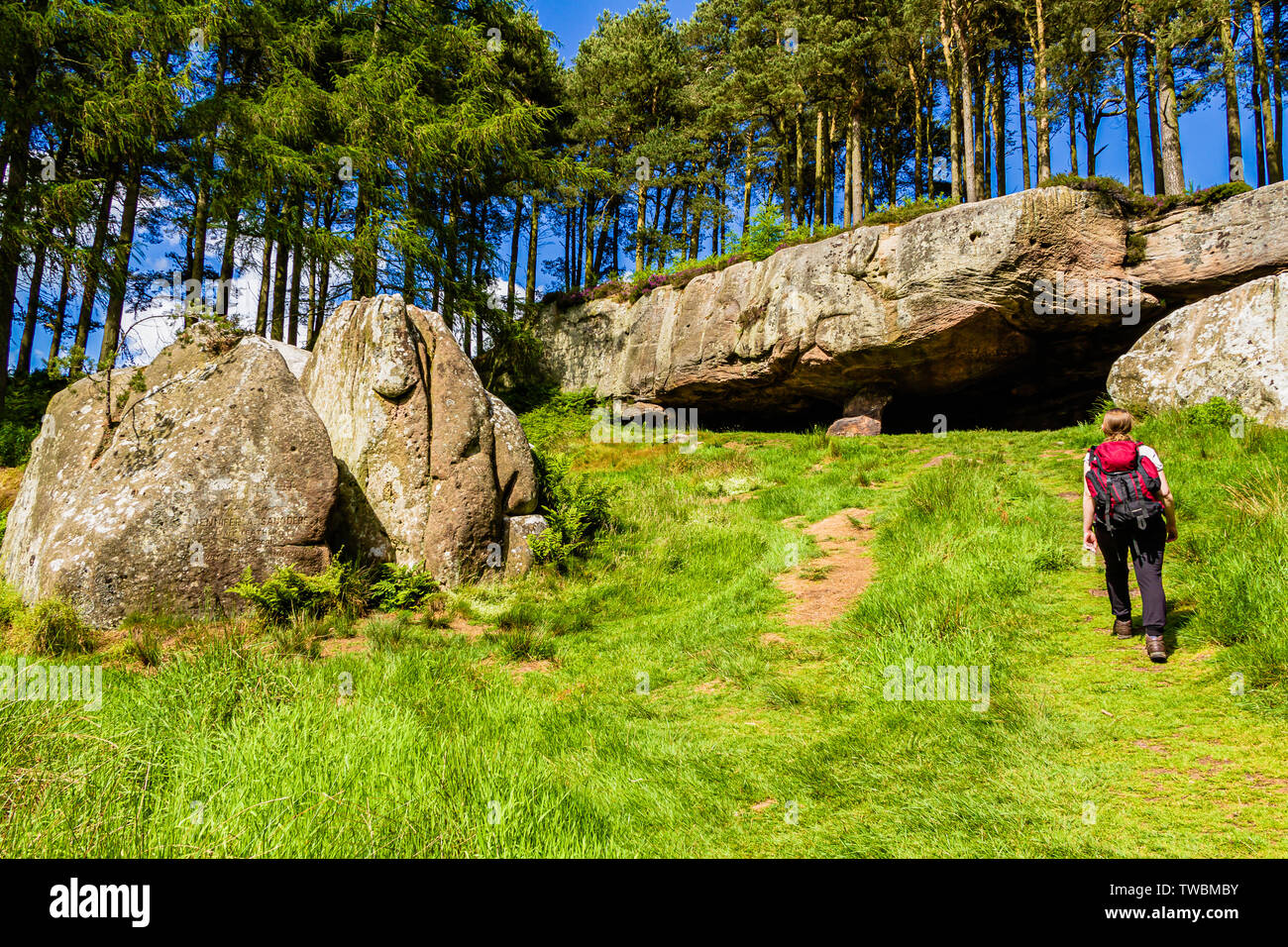 Une femelle walker en direction de St Cuthbert's Cave, un site le long du sentier de St Cuthbert's Way. Holburn, Northumberland, Angleterre. Juin 2017. Banque D'Images