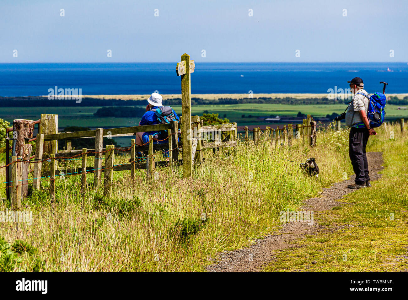 Quelques marcheurs de campagne admirant la vue estivale sur la mer depuis le sentier de St Cuthbert près de Holburn, Northumberland, Royaume-Uni. Juin 2019. Banque D'Images