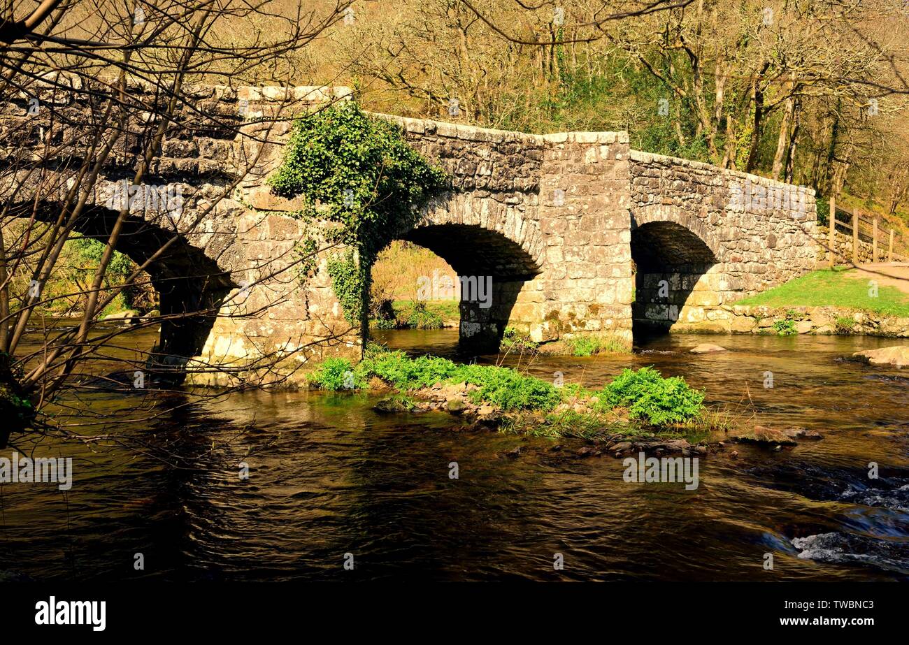 Fingle Bridge sur la rivière Teign, dans le parc national du Dartmoor. Banque D'Images