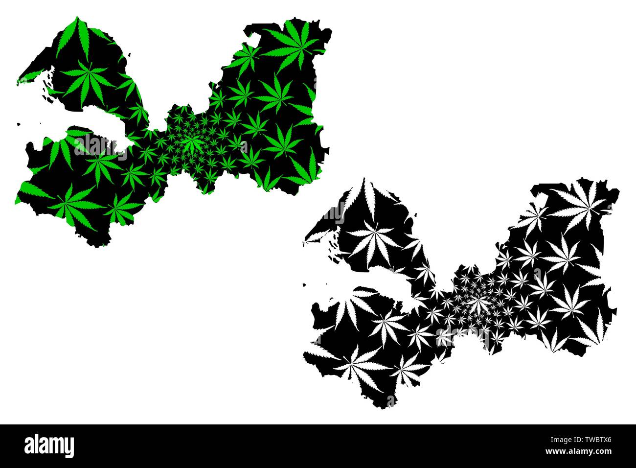 L'Oblast de Léningrad (Russie, Sujets de la Fédération de Russie, les oblasts de Russie) la carte est conçue de feuilles de cannabis vert et noir, Oblast de Léningrad carte m Illustration de Vecteur
