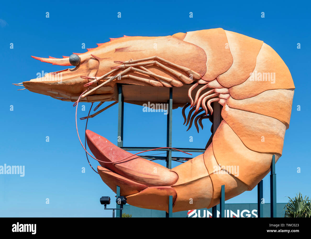 Le Big Prawn à Ballina, New South Wales, Australie Banque D'Images