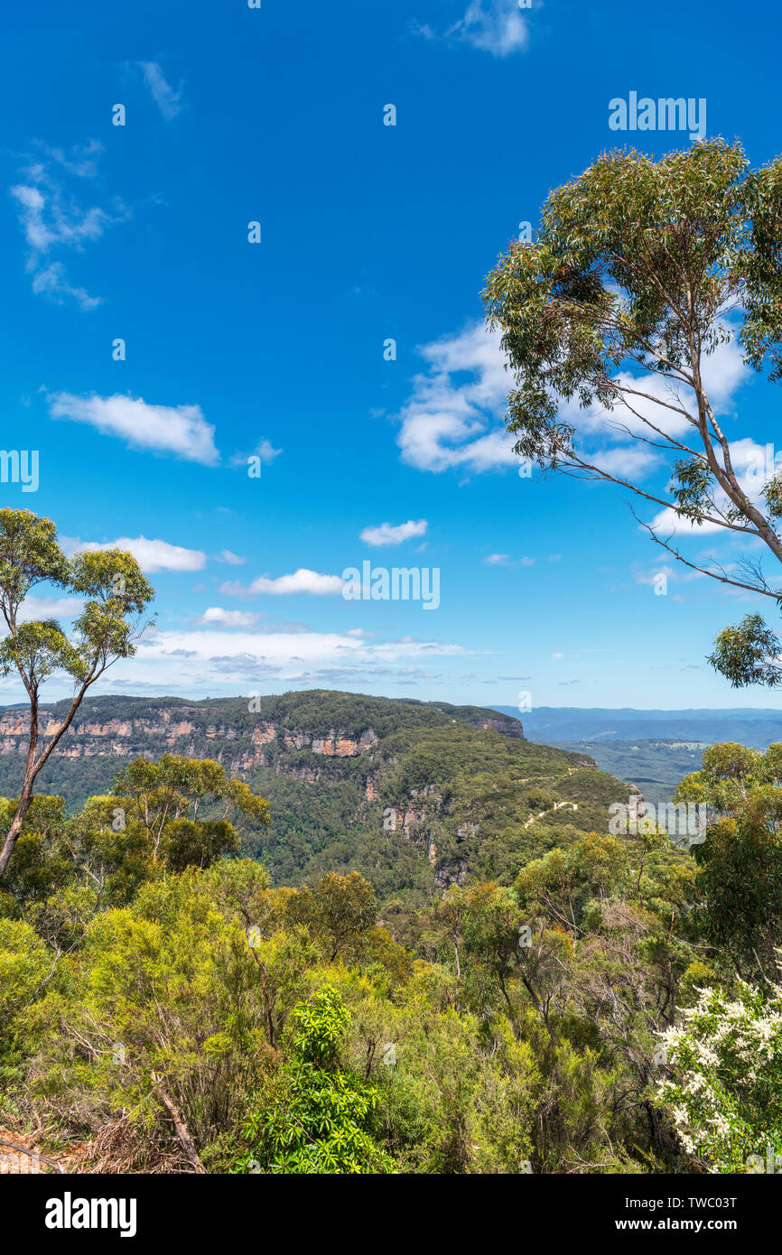Vue sur les Montagnes Bleues de l'affût à col étroit, Katoomba, New South Wales, Australie Banque D'Images