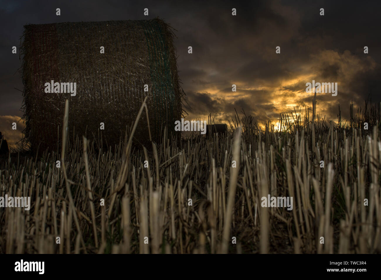 Hay sous caution au coucher du soleil Banque D'Images