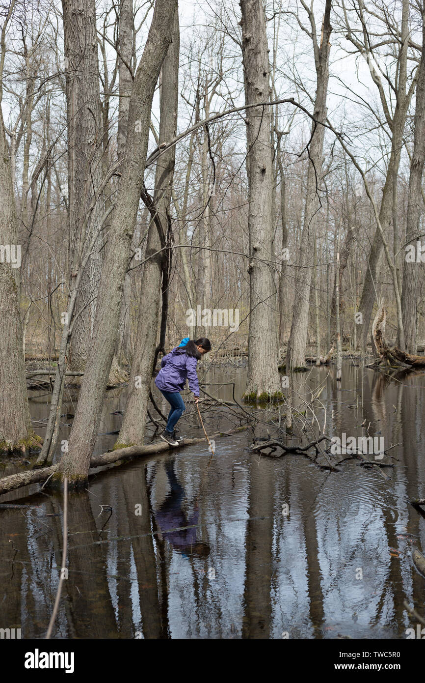 Une adolescente joue dans le bois de forêt marécageuse de l'Mengerson Nature Preserve à Fort Wayne, Indiana, USA. Banque D'Images