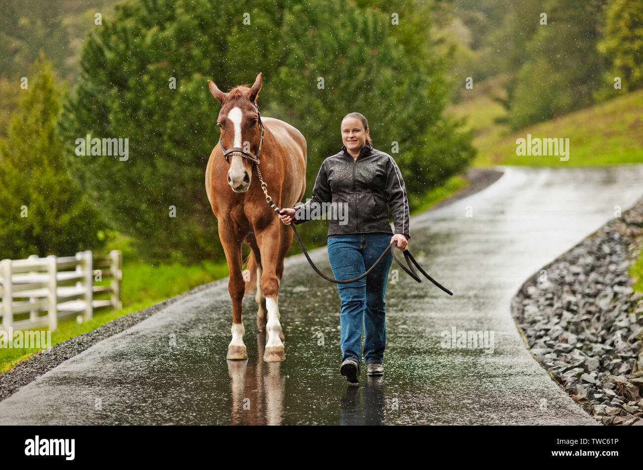 Jeune entraîneur de chevaux l'exercice de son cheval. Banque D'Images