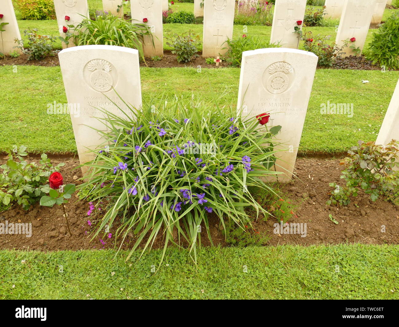 Commémoration au cimetière militaire britannique de Banneville la Campagne (Calvados) du vendredi 07 juin 2019 Banque D'Images