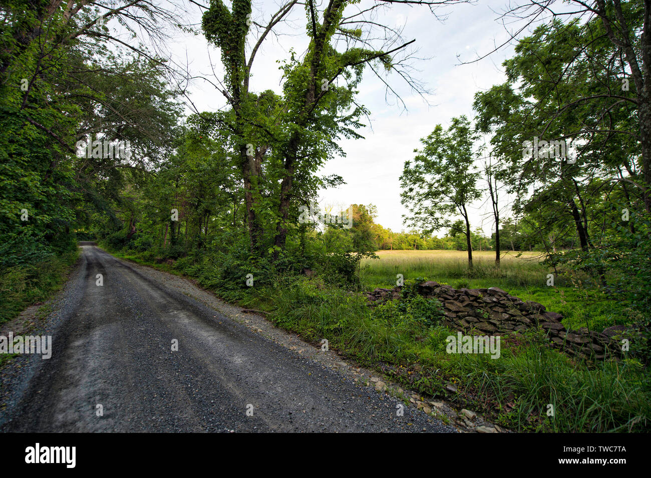 UNITED STATES - 4 juin 2017 : Western historique de Loudoun route de terre connue sous le nom de Austin Grove Road à l'extérieur du village de Bloomfield. La plupart des saletés r Banque D'Images