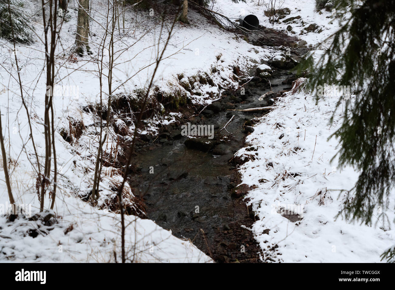 Petite rivière dans la forêt d'hiver Banque D'Images