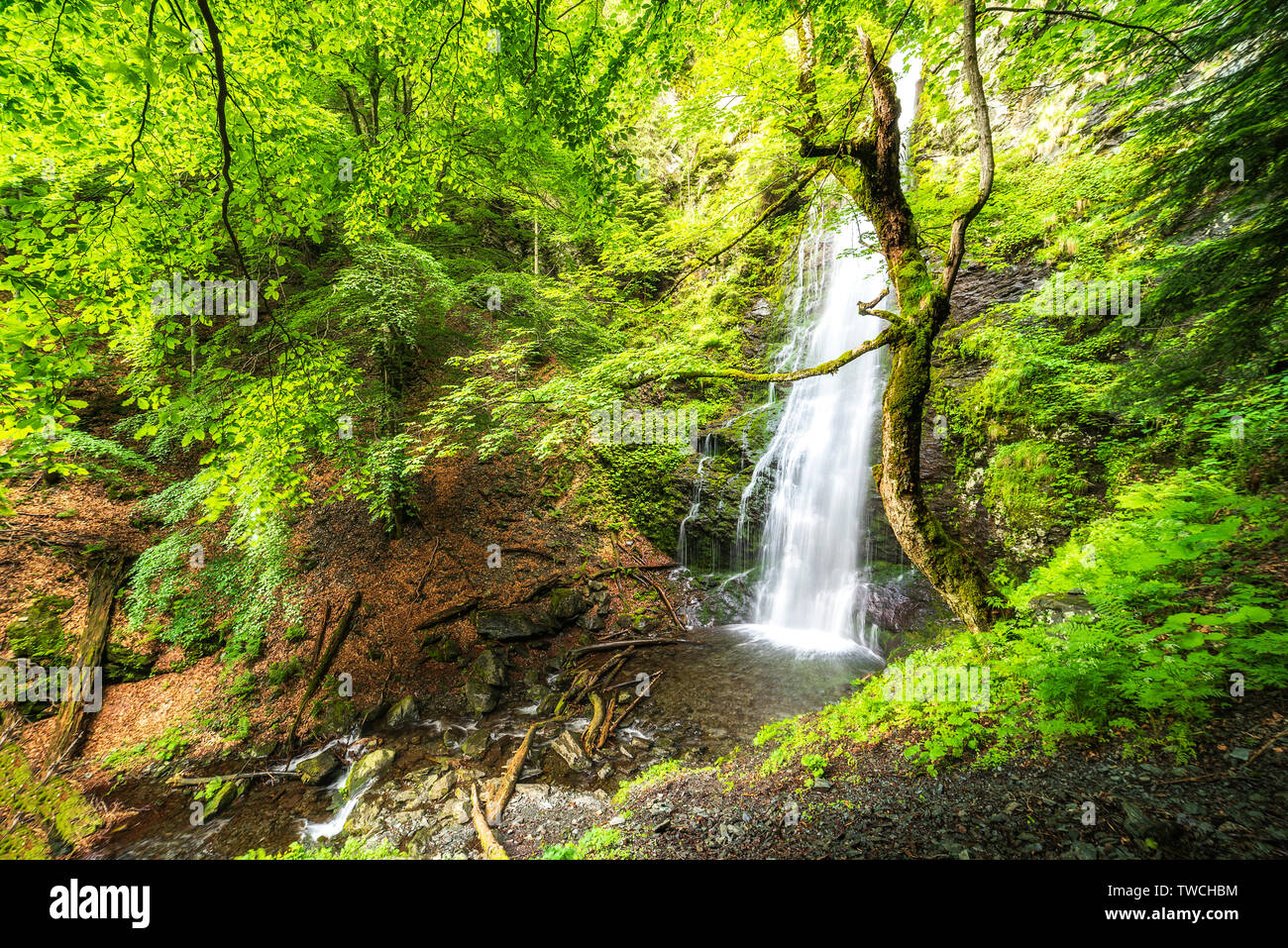 Karlovsko pruskalo en cascade, ancienne rivière Stara reka, situé au parc national Balkan Central en Bulgarie Banque D'Images