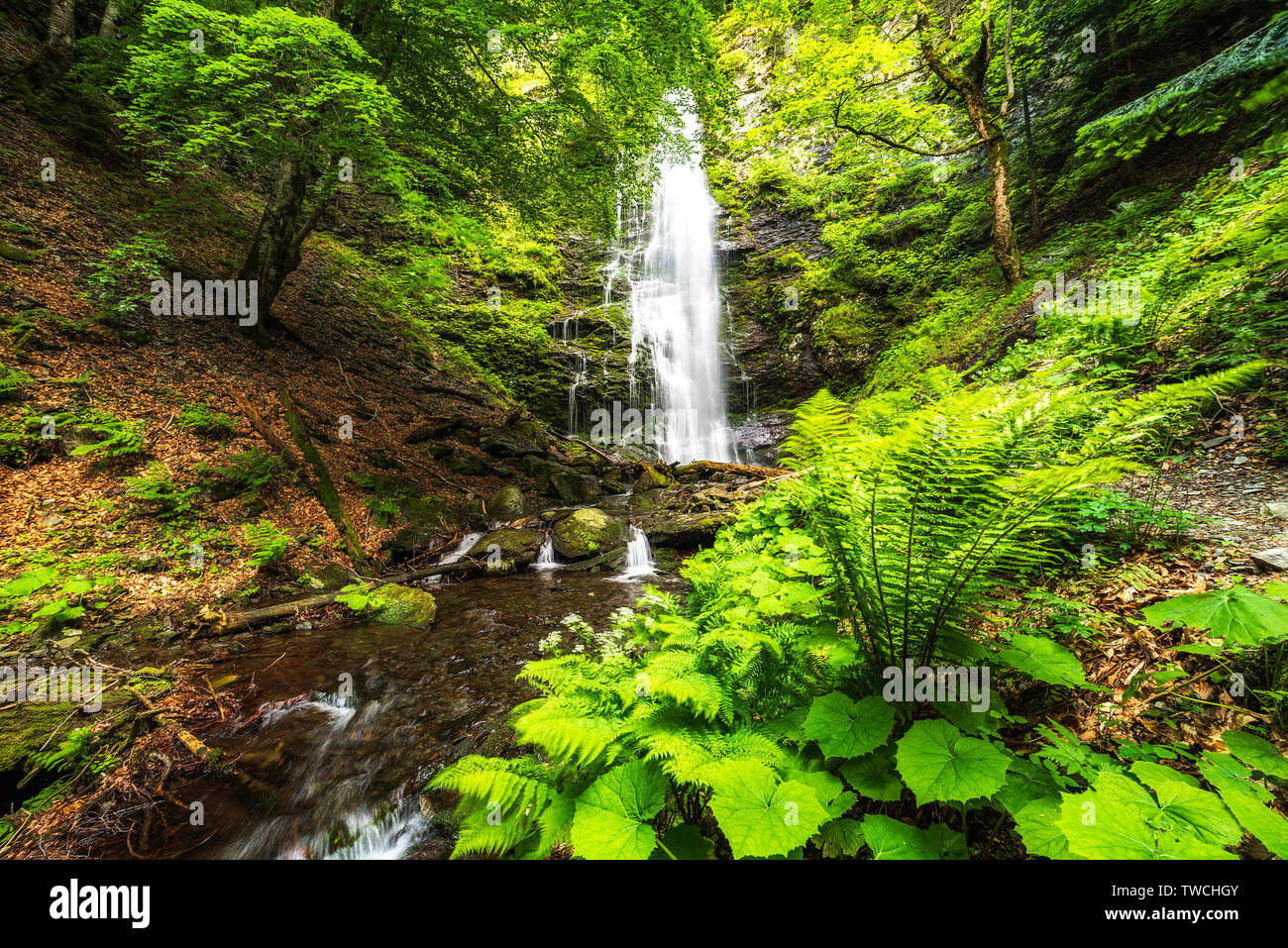 Karlovsko pruskalo en cascade, ancienne rivière Stara reka, situé au parc national Balkan Central en Bulgarie Banque D'Images