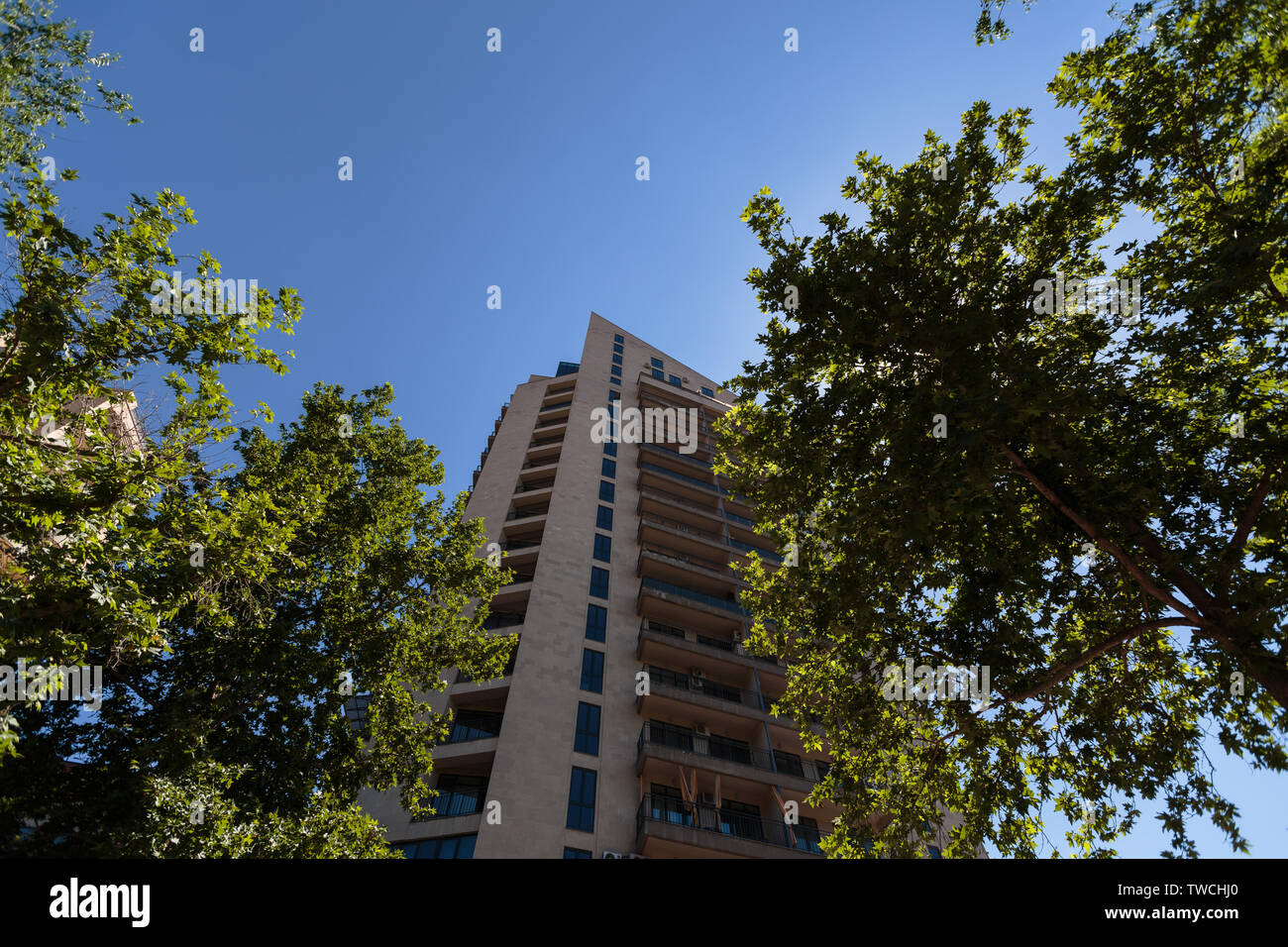 Maison de plusieurs étages entre deux arbres Vue de dessous Banque D'Images