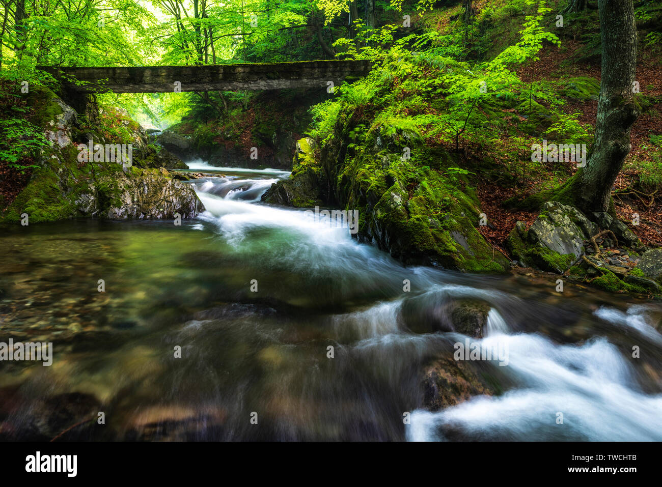 Central balkan mountain Banque de photographies et d’images à haute ...