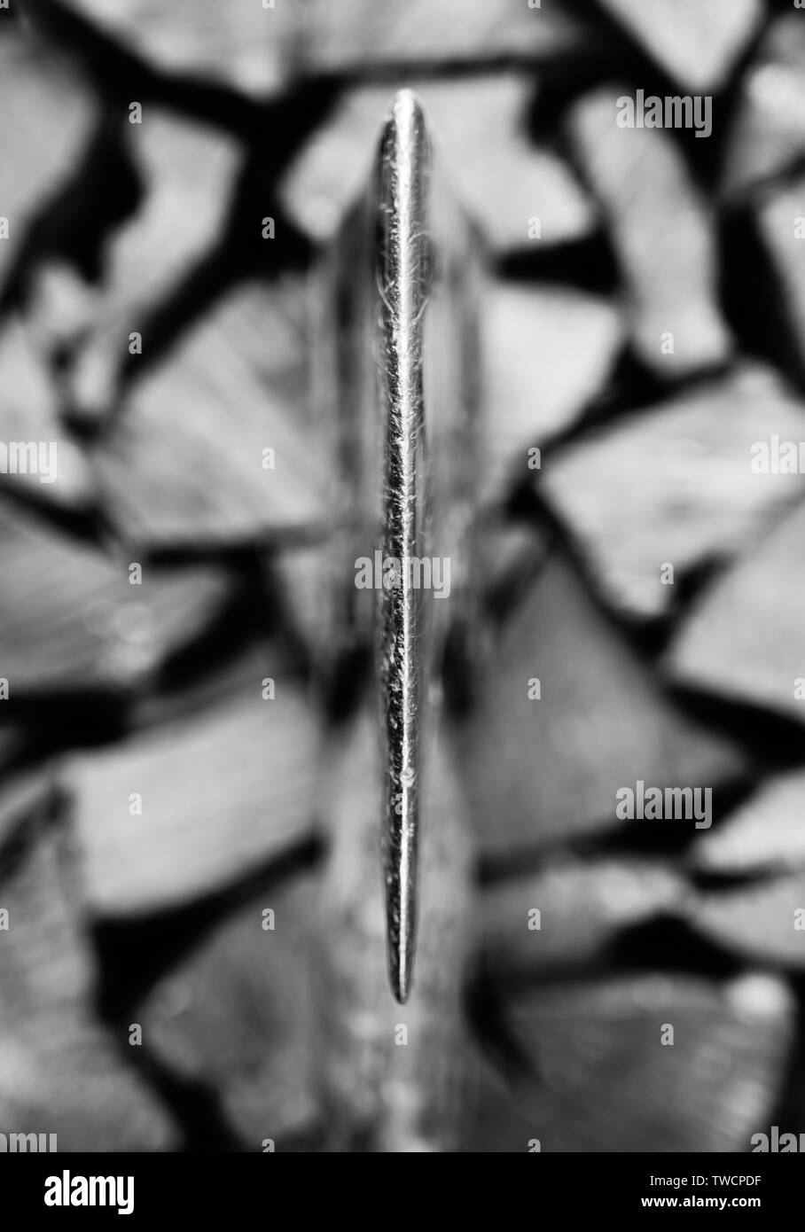 Le tranchant d'une hache isolé avec l'accent peu profondes. Banque D'Images