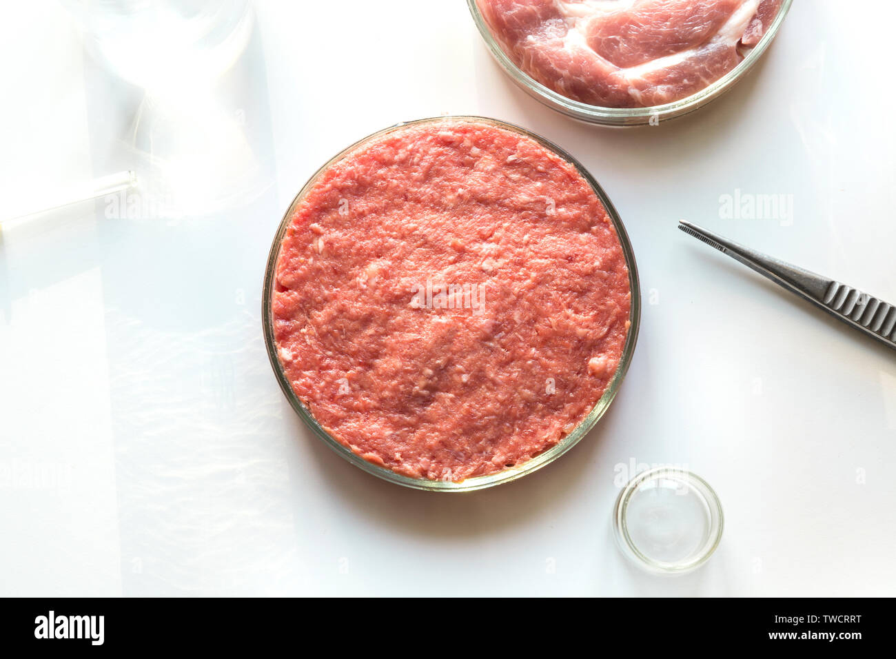 Les études en laboratoire de la viande artificielle. La viande hachée dans du verre plat de Pétri. Vue de dessus. Expérience chimique. Banque D'Images