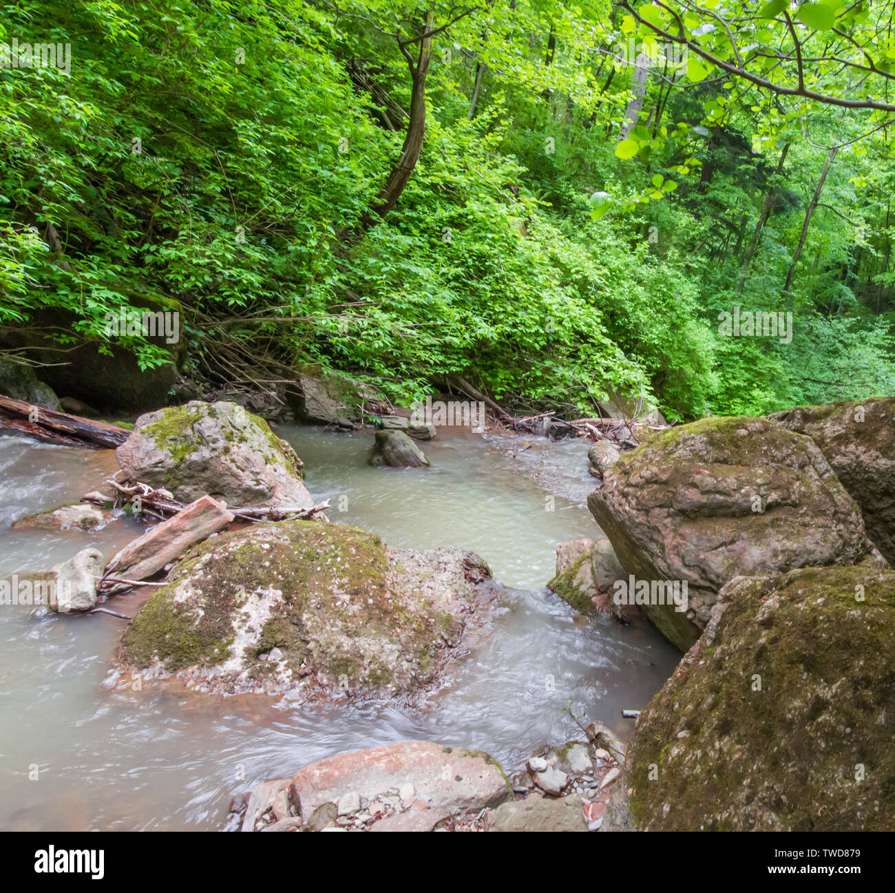 Rochers dans un ruisseau boueux. Focus sélectif. Banque D'Images