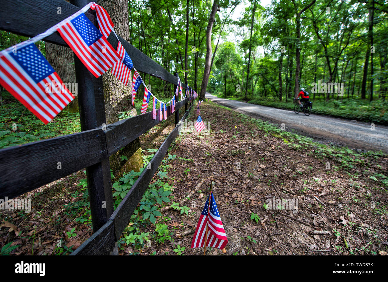 États-unis - 3 juillet 2017 : Un cycliste rides passé 4 juillet décorations sur une clôture le long d'Otley Road dans l'ouest de Loudoun County en Virginie. Le cycliste Banque D'Images