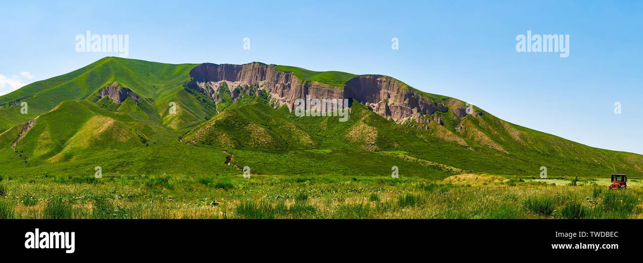 Panorama d'une vallée de montagne en été. Vue fabuleuse sur la montagne Green Ridge et le champ en face de lui, la nature extraordinaire, l'été dans le mo Banque D'Images