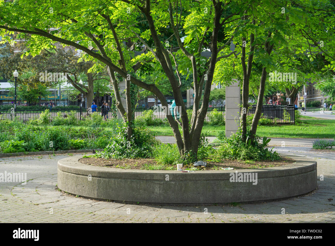 Allen Gardens est belle au cours de l'été Banque D'Images